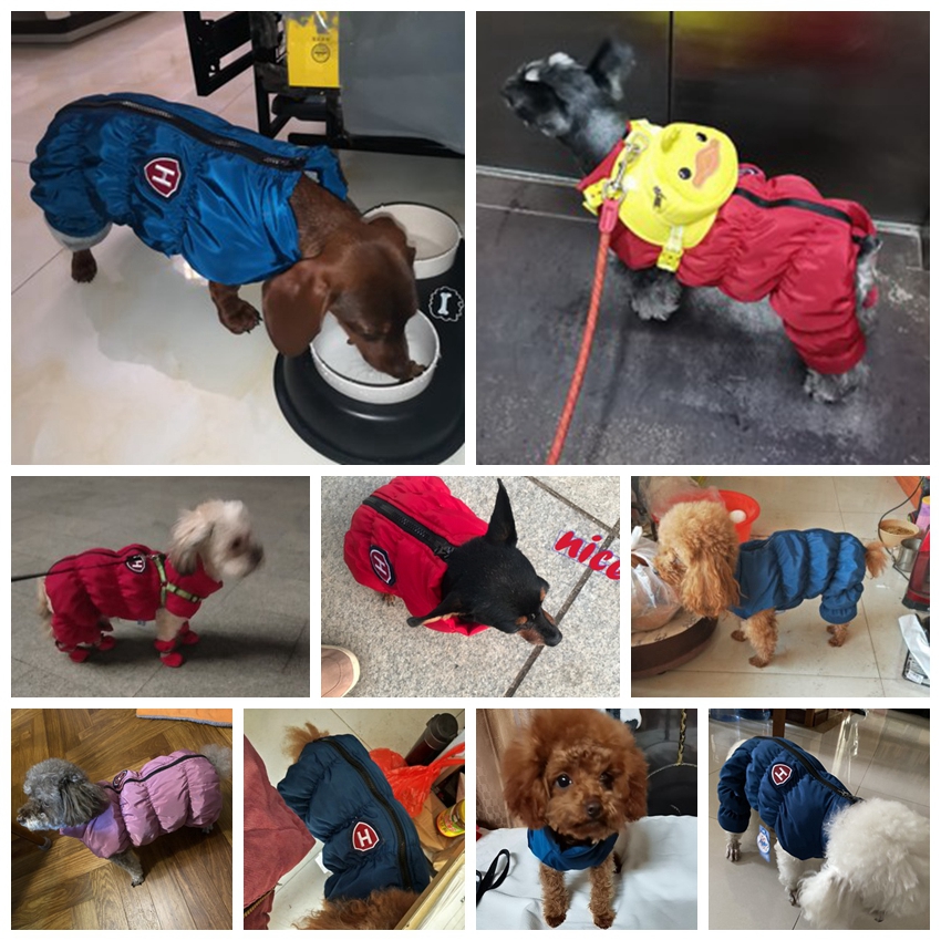 Zipper Snow Unisex Dog Waterpr – Winter Clothing Baby recenzja i cena